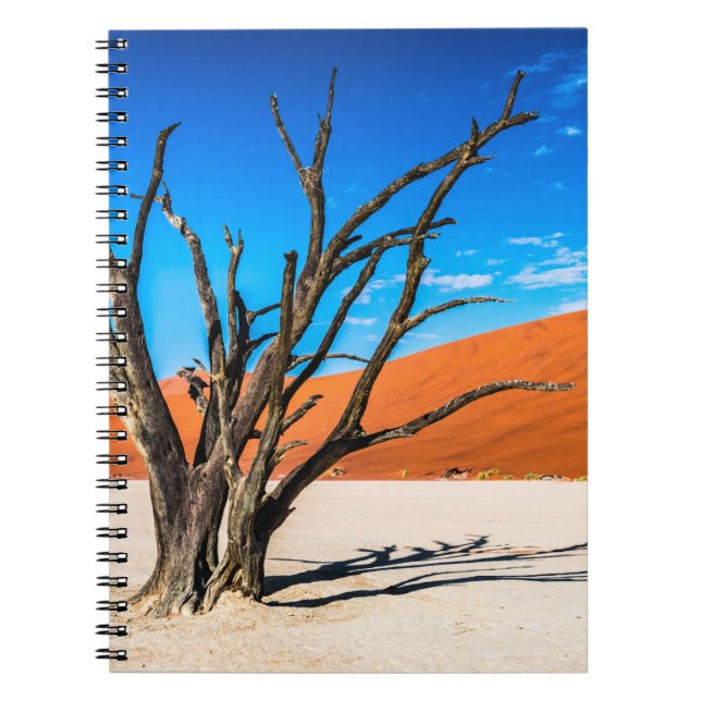 Dead träd i Deadvlei, Namibia Anteckningsbok (Framsidan)