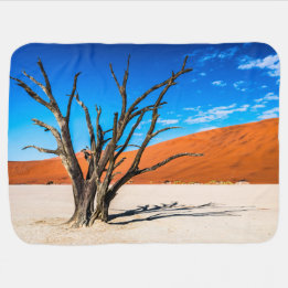 Dead träd i Deadvlei, Namibia Bebisfilt