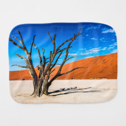 Dead träd i Deadvlei, Namibia Bebistrasa