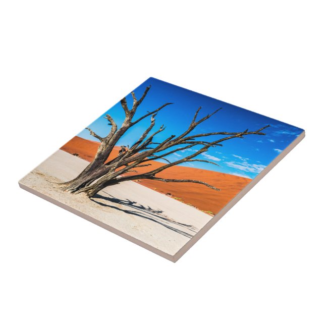 Dead träd i Deadvlei, Namibia Kakelplatta (Sidan)
