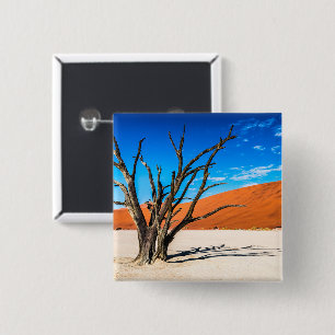 Dead träd i Deadvlei, Namibia Knapp