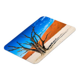Dead träd i Deadvlei, Namibia Magnet