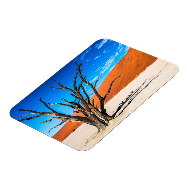 Dead träd i Deadvlei, Namibia Magnet (Vänstra Sidan)