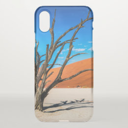 Dead träd i Deadvlei, Namibia
