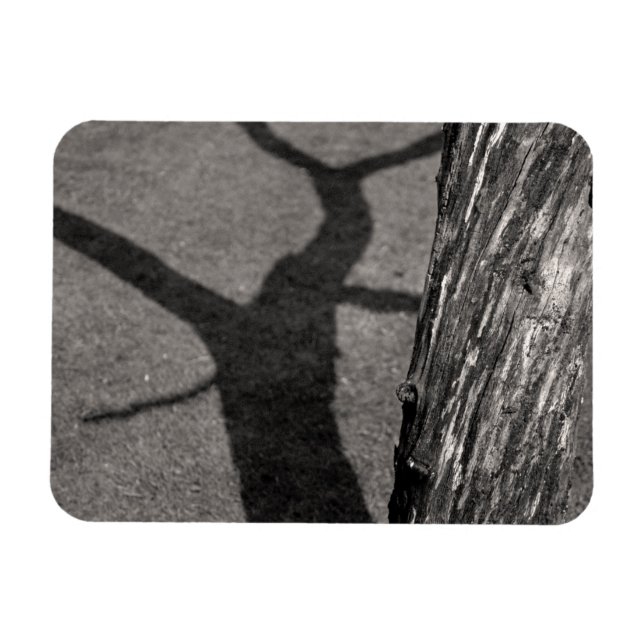 Dead träd magnet (Horisontell)