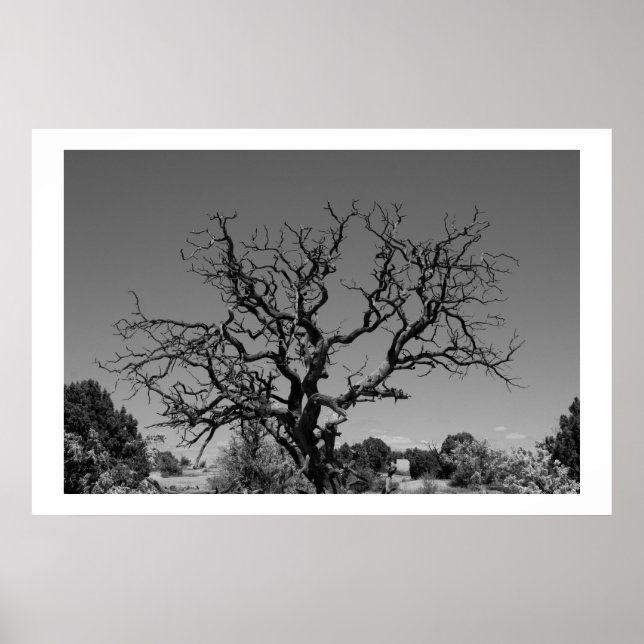 Dead Träd Poster (Framsidan)