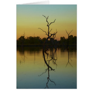Dead träd reflekterat i Lilj Bäck Lagoon, gryning Hälsningskort