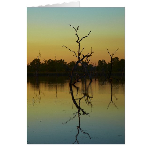 Dead träd reflekterat i Lilj Bäck Lagoon, gryning Hälsningskort (Framsidan)