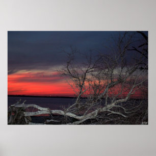Dead Träd Sunset, S Cyr Poster