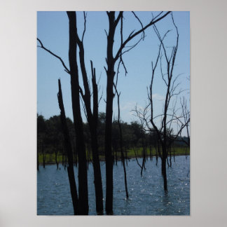 Dead Träd Truman Sjö Poster