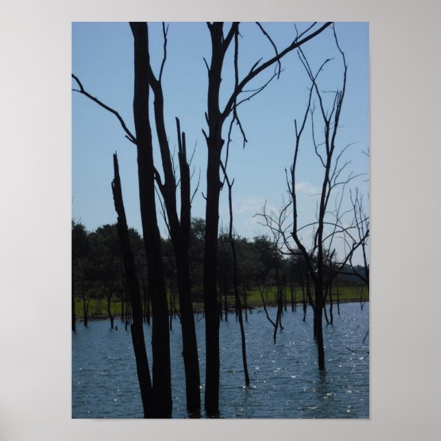 Dead Träd Truman Sjö Poster (Framsidan)