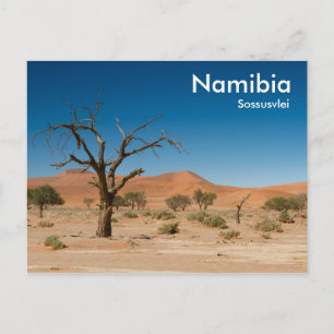 Dead Träd vid Sossusvlei-vykort med text Vykort