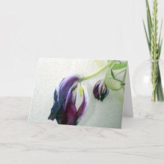 Dead Tulips Kort