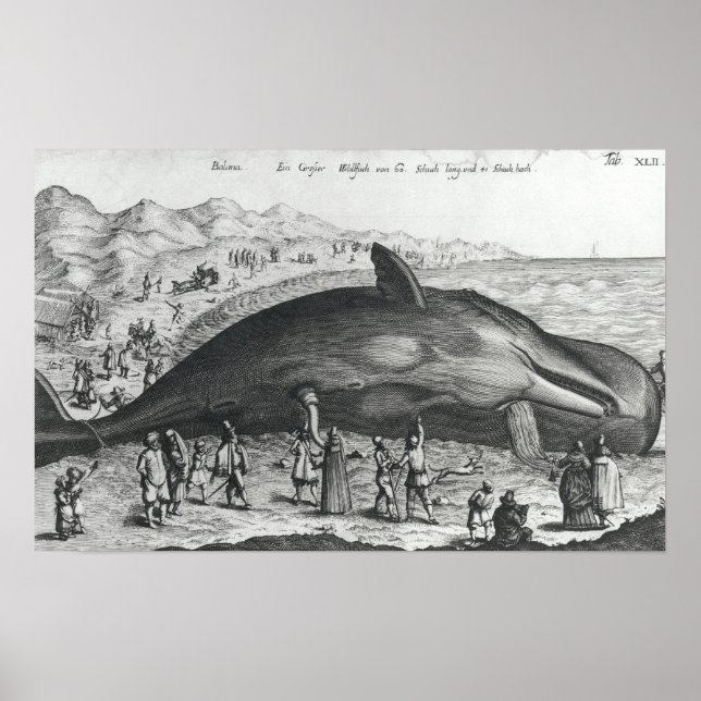 Dead val poster (Framsidan)