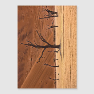 Dead Vlei, Namibia