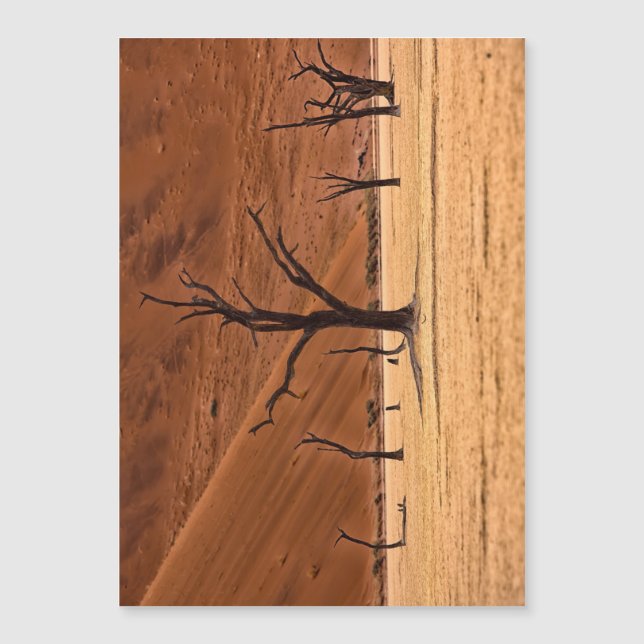 Dead Vlei, Namibia (Framsida)