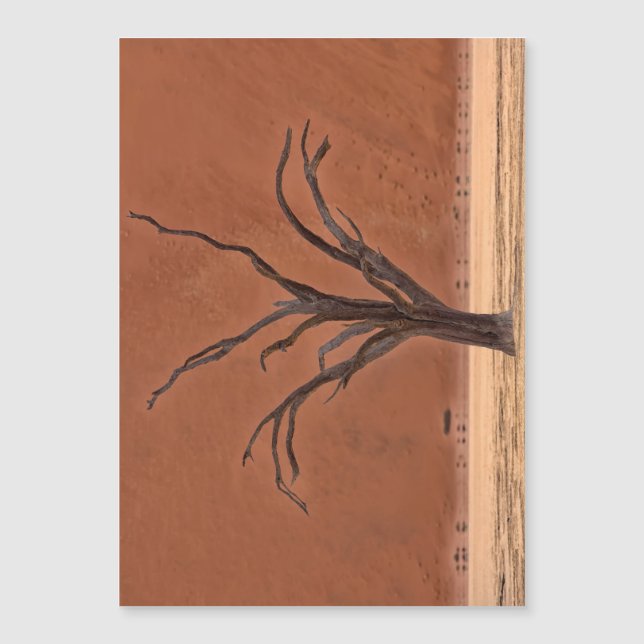 Dead Vlei, Namibia (Framsida)
