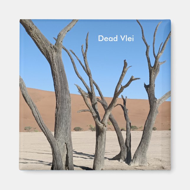 Dead Vlei, Namibia Magnet (Framsidan)