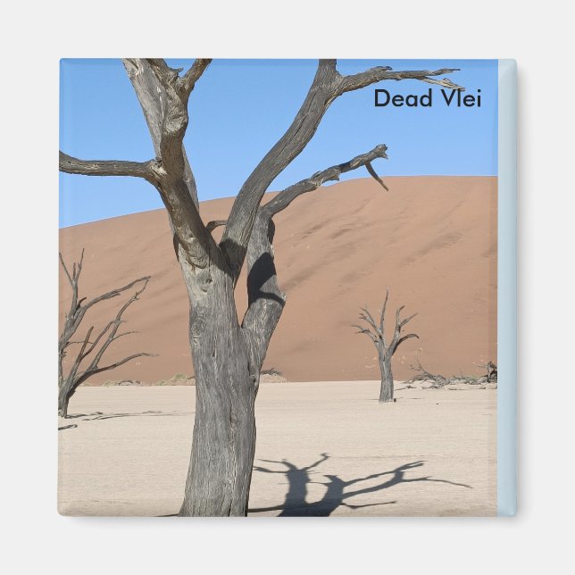 Dead Vlei, Namibia Magnet (Framsidan)