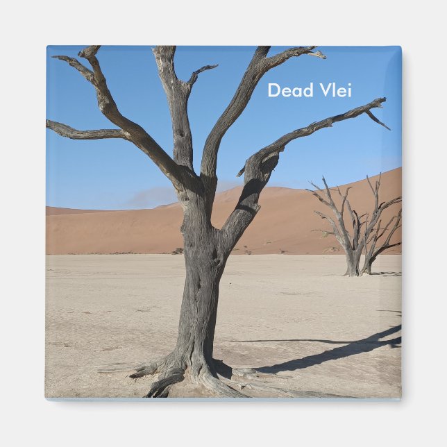 Dead Vlei, Namibia Magnet (Framsidan)
