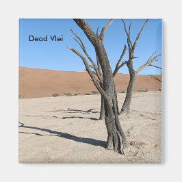 Dead Vlei, Namibia Magnet