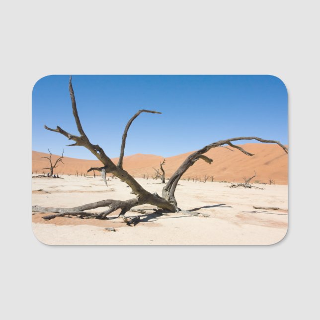 Dead Vlei, Namibia Namnbricka (Framsida)