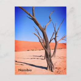 Dead Vlei, Namibia Postkort Vykort