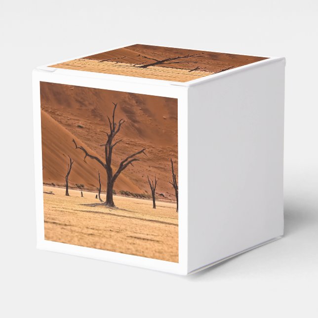 Dead Vlei, Namibia Presentaskar (Framsidan Sidan)