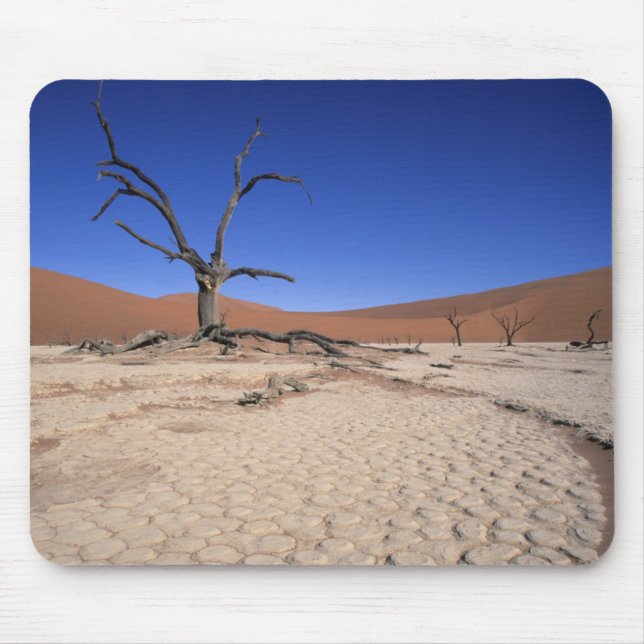 Dead Vlei, Sossusvlei, Namib-Naukluft nationalpark Musmatta (Framsidan)