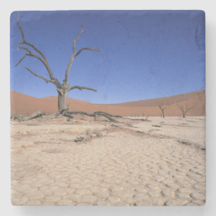 Dead Vlei, Sossusvlei, Namib-Naukluft nationalpark Stenunderlägg
