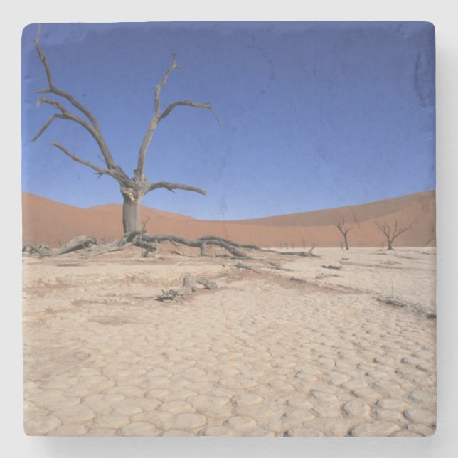 Dead Vlei, Sossusvlei, Namib-Naukluft nationalpark Stenunderlägg (Framsidan)
