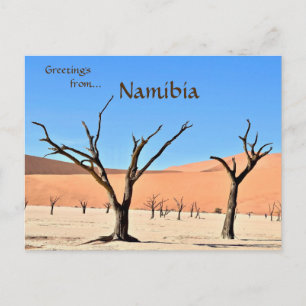 Dead Vlei Sossusvlei Namibia Vykort