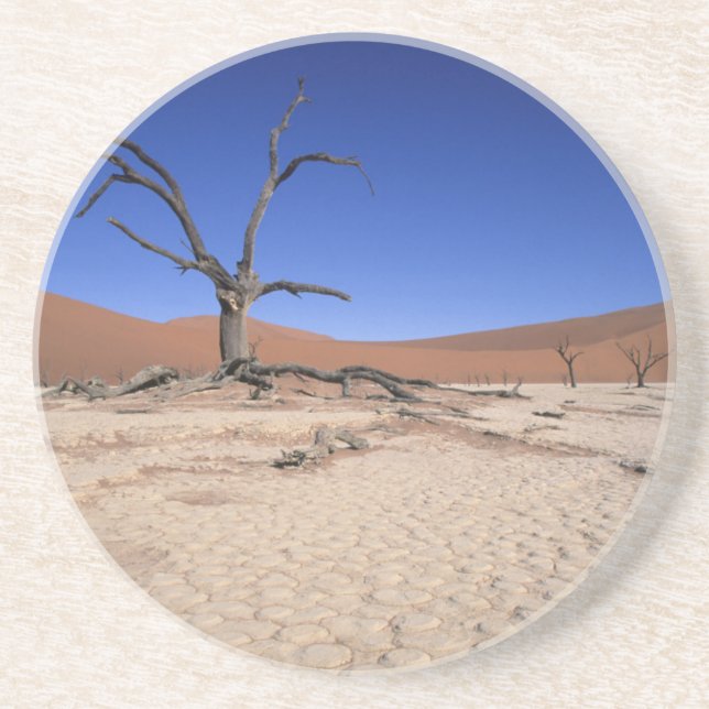 Dead Vlei, Sossuvlei, Namib-Naumft National Underlägg Sandsten (Framsidan)