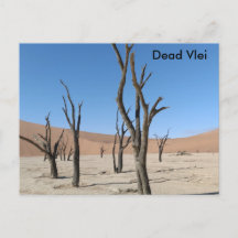 Dead Vlei, vykort för Namibia