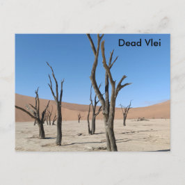 Dead Vlei, vykort för Namibia