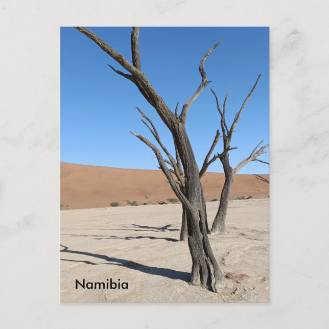 Dead Vlei, vykort för Namibia (Framsida)