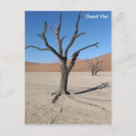 Dead Vlei, vykort för Namibia