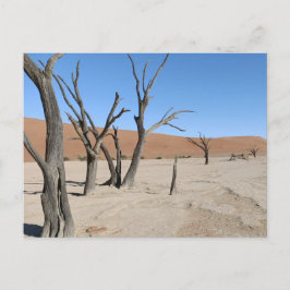 Dead Vlei, vykort för Namibia