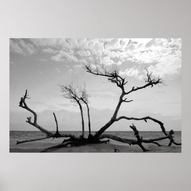 Dead Wood Poster (Framsidan)