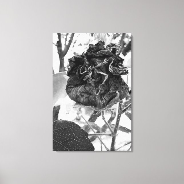 deadly canvastryck (Framsida)