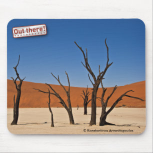 Deadvlei Musmatta