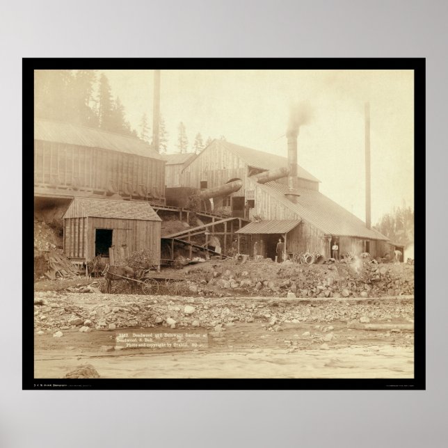 Deadwood & Delaware Smelter SD 1891 Poster (Framsidan)