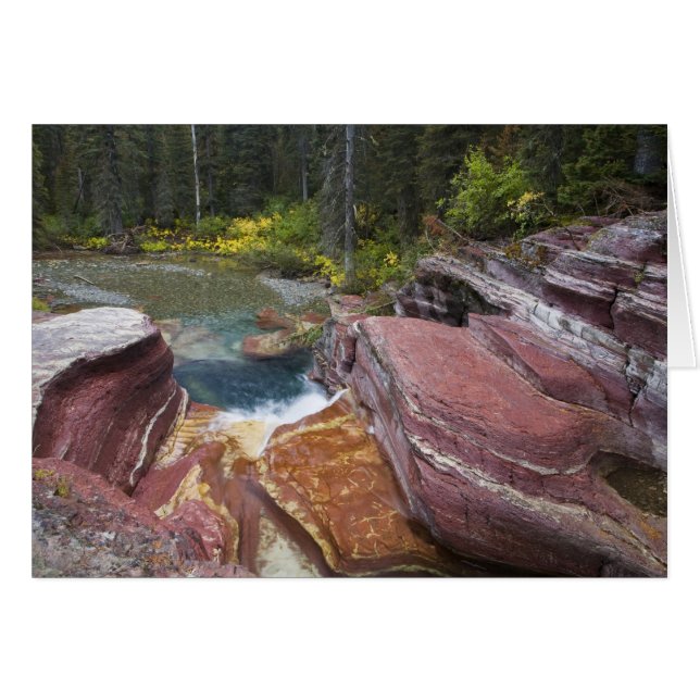 Deadwood Falls på Reynolds Bäck under hösten Hälsningskort (Framsidan Horizontal)