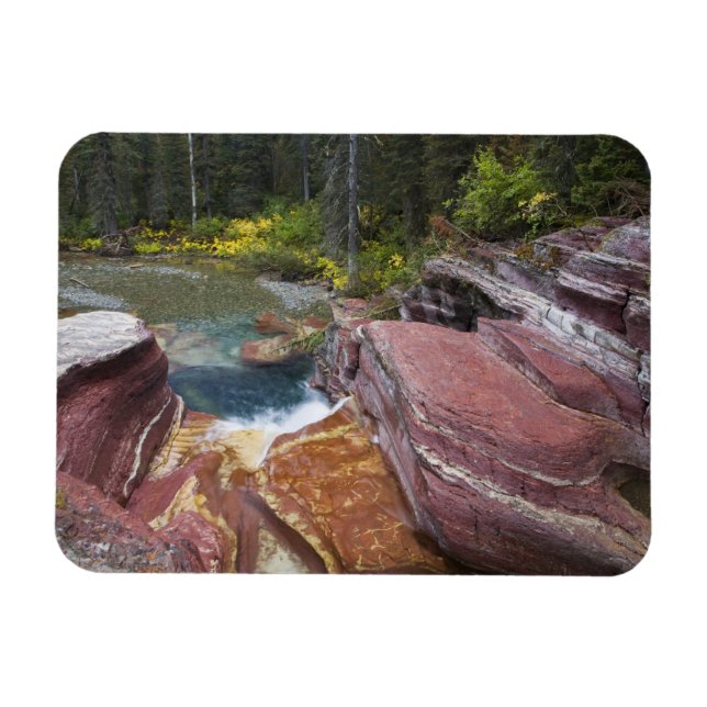 Deadwood Falls på Reynolds Bäck under hösten Magnet (Horisontell)