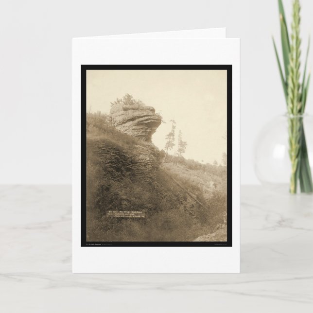 Deadwood för grodahuvudsten arrangerar vägen SD Kort (Framsida)