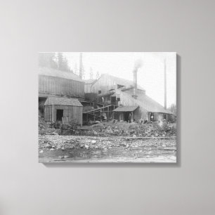 Deadwood och den Delaware smältaren fotograferar Canvastryck