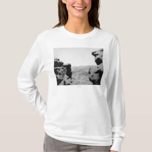 Deadwood som sedd från vitstenar fotograferar t-shirt