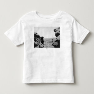 Deadwood som sedd från vitstenar fotograferar tee shirt