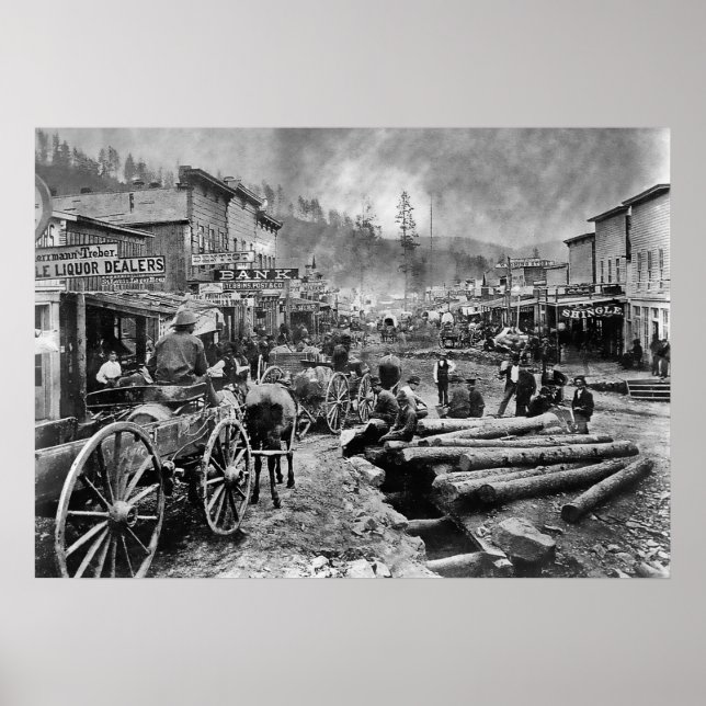 DEADWOOD SOUTH DAKOTA 1876 POSTER (Framsidan)