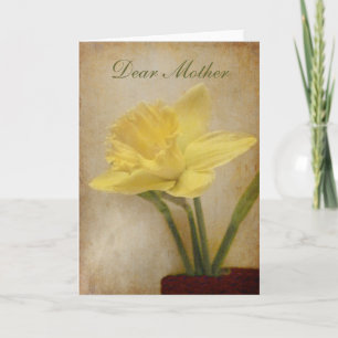 Dean Mor, Light Daffodil Kort
